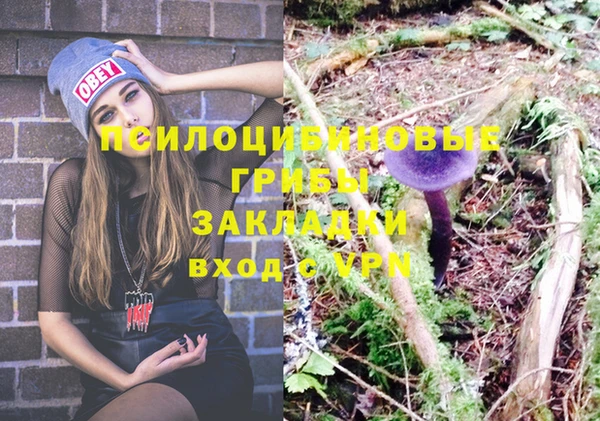 apvp Балабаново